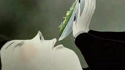 四根羽毛 视频海报