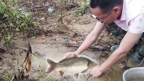 作家的洞穴 视频缩略图