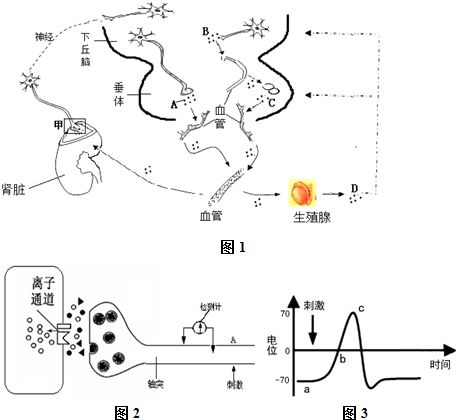 僵局 视频缩略图