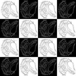 喔我的僵尸 视频缩略图