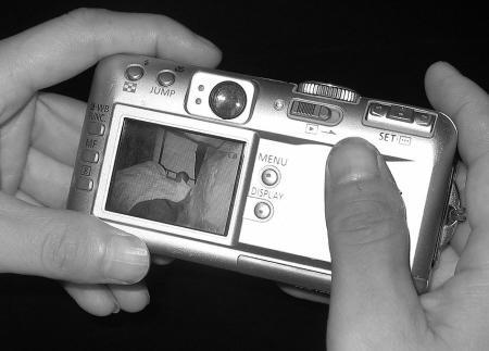 向阳处的她 视频缩略图