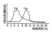圣诞城堡 视频缩略图