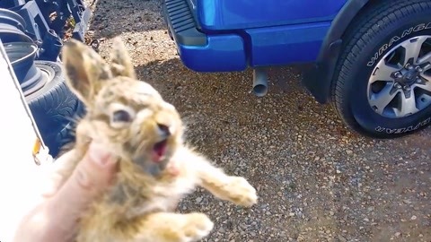 夏夜骑士 视频缩略图