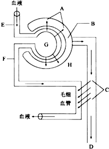 囧村逃亡 视频海报