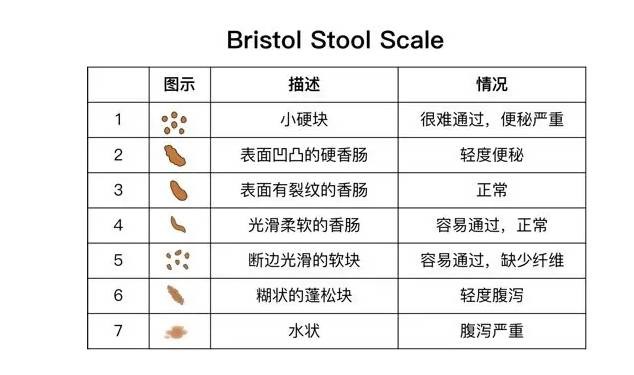 冬日暖阳 视频海报