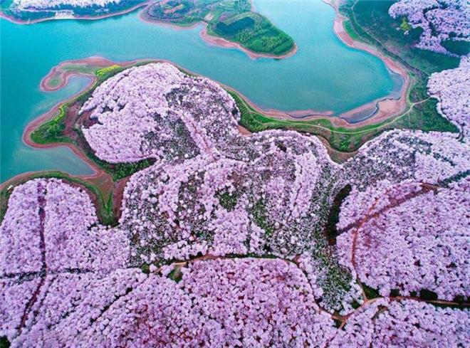 侣行攻略之确认你是我的人 视频缩略图