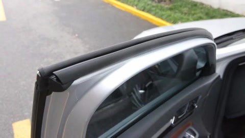 变异巨蟒 视频缩略图