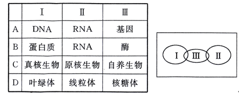 储灵空间 视频缩略图