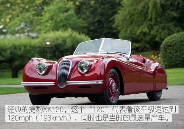 僵尸家族 视频缩略图