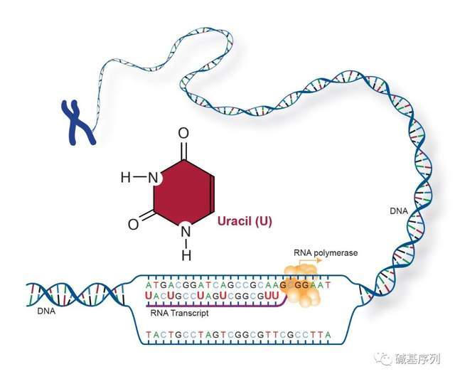 圆月弯刀 视频缩略图