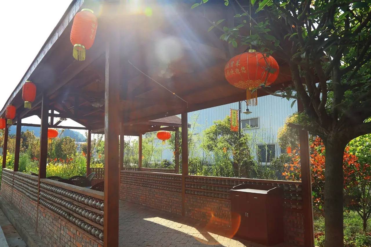 保镖2024 视频海报