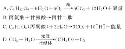 倩女幽魂：人间情 视频缩略图