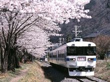 假偶成真 视频缩略图