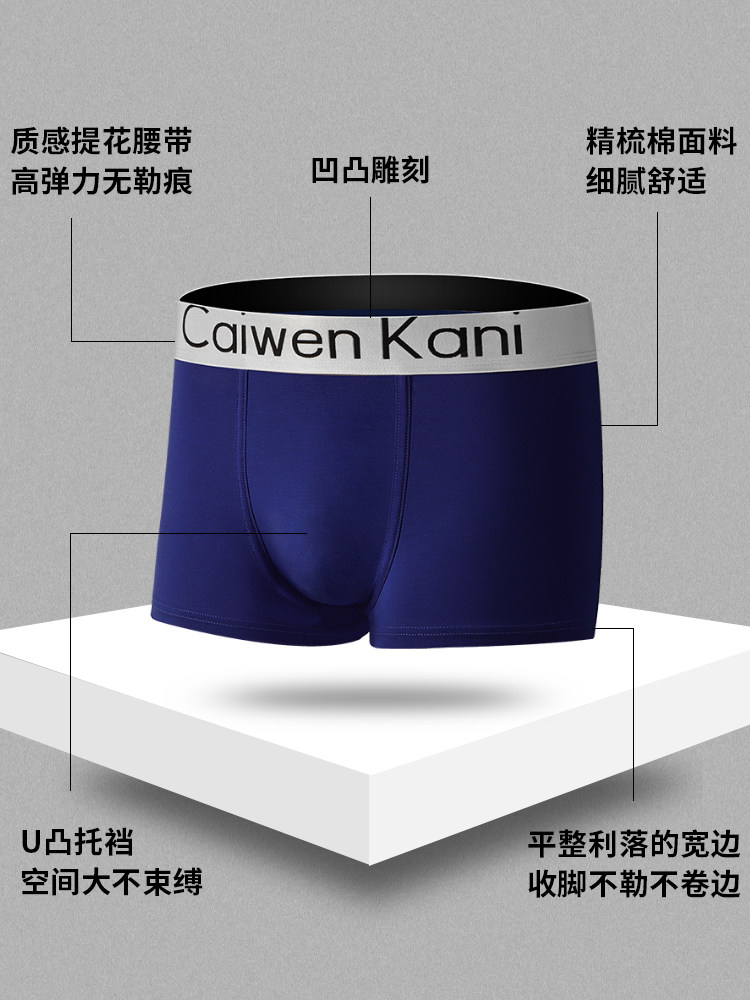 傲娇与偏见 视频缩略图