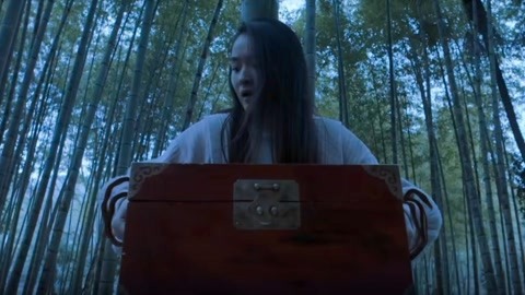 回溯迷踪 视频缩略图