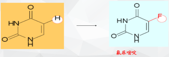 伏藏师 视频海报