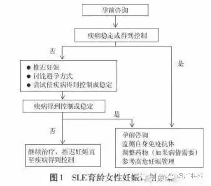 冰海陷落 视频缩略图