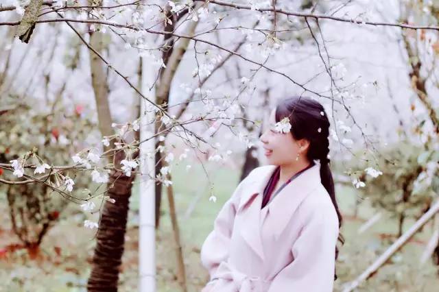 伦敦佬对抗活死人 视频缩略图