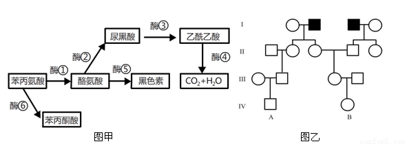 冒牌搭档 视频缩略图