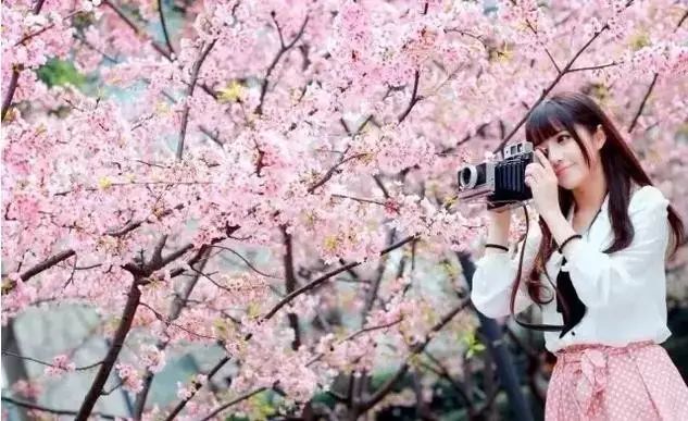 信托基金 视频缩略图