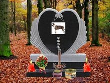 保镖2024 视频缩略图