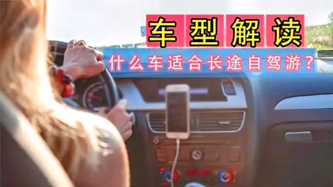 危险卧底（英语版）