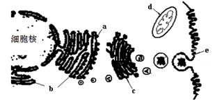 代课教师 视频海报