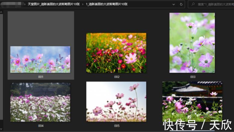 反贪风暴4（普通话） 视频缩略图
