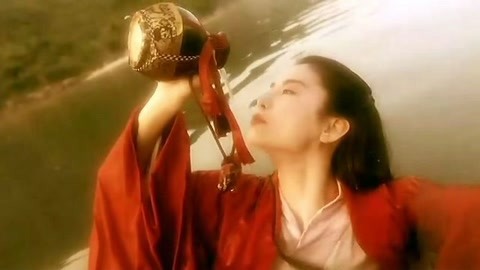 倔强的牛顿 视频海报