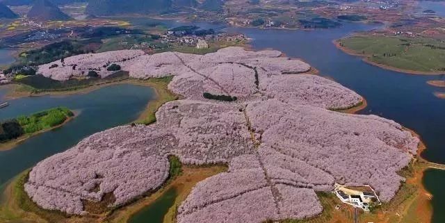 冲锋 视频缩略图