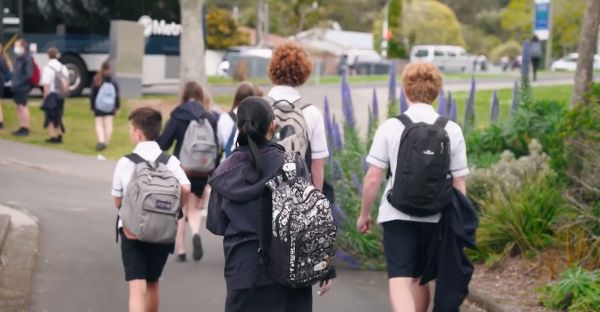 农场小牛牛：愚人节 视频缩略图