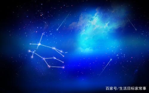 嗜血狂蜂 视频海报