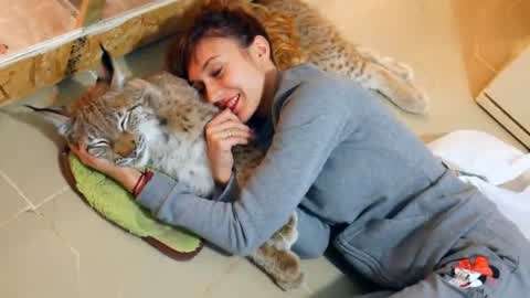 圣诞特攻队 视频缩略图