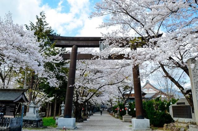 减法人生 视频海报