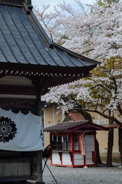 冰路营救 视频缩略图