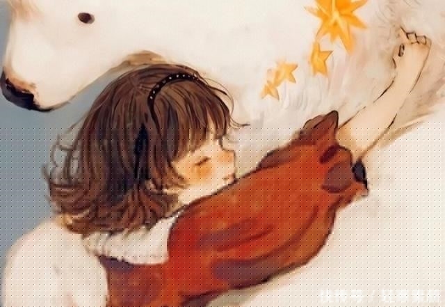 四根羽毛 视频缩略图