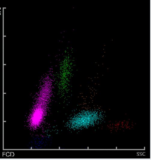 你和我的21世纪 视频缩略图