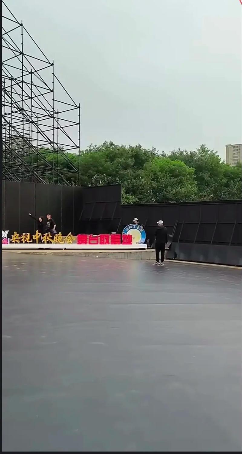 偶像先生 视频海报