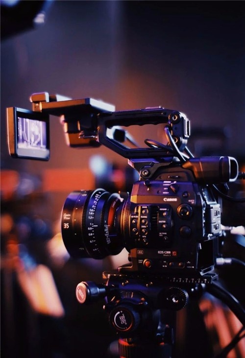 嗜血人鱼 视频缩略图