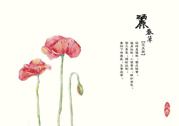噬血芭蕾 视频缩略图