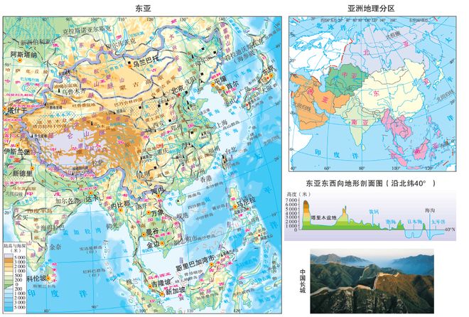 代号巴德 视频缩略图