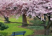 侠僧探案传奇之开封府 视频缩略图