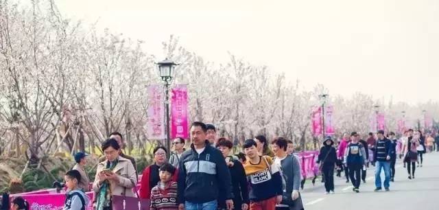 可口可乐小子 视频海报