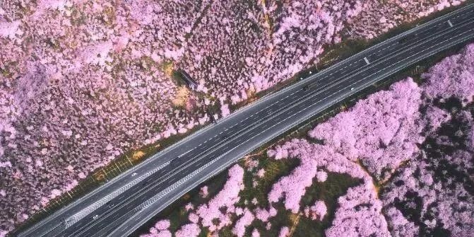 决战发财日 视频缩略图