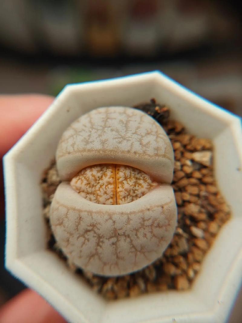 你的全部 视频主图