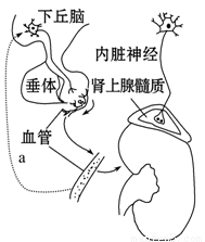 仙剑奇侠传前传：酒剑仙 视频缩略图