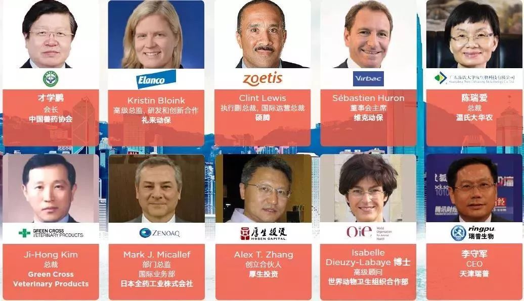 伊斯坦布尔红 视频海报