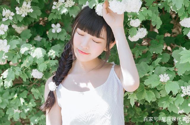 地平线 视频缩略图