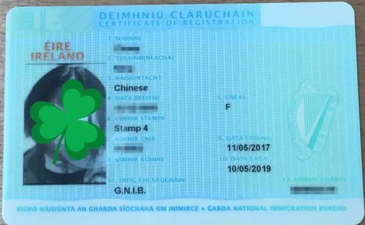 他是一只狗 视频主图