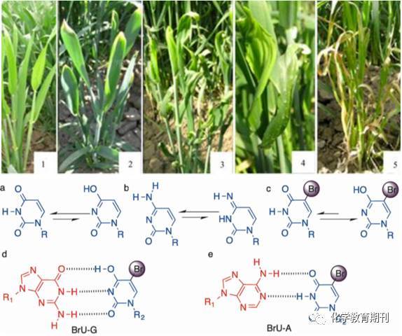 地狱边缘 视频缩略图